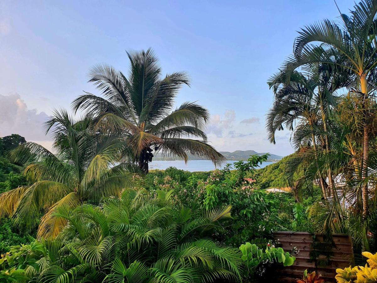 La Villa Baie Du Marin Le Marin Esterno foto